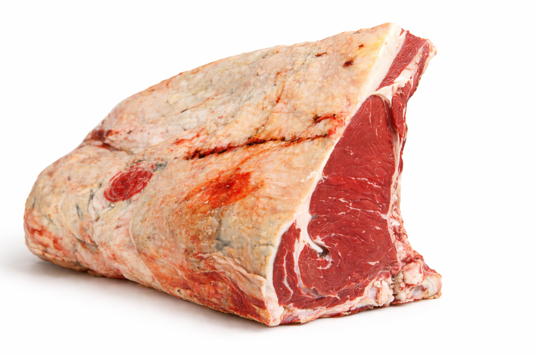 Lombata costola di carne bovina Chianina IGP VBAC intera su sfondo bianco per vendita all’ingrosso B2B Italia ed Europa
